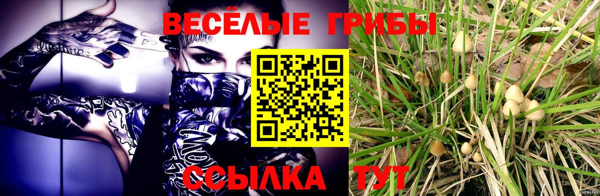 Псилоцибиновые грибы мухоморы  хочу   Мариинск  Вход с VPN 